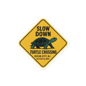 Slow Down Sticker
