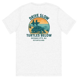Drive Slow Turtles Below T-Shirt