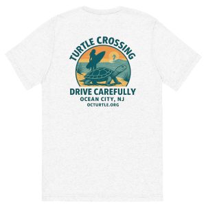 Turtle Crossing Drive Carefully T-Shirt
