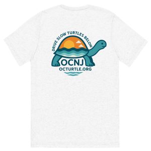 Drive Slow Turtle Shirt