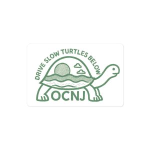 OCNJ Turtle Sketch