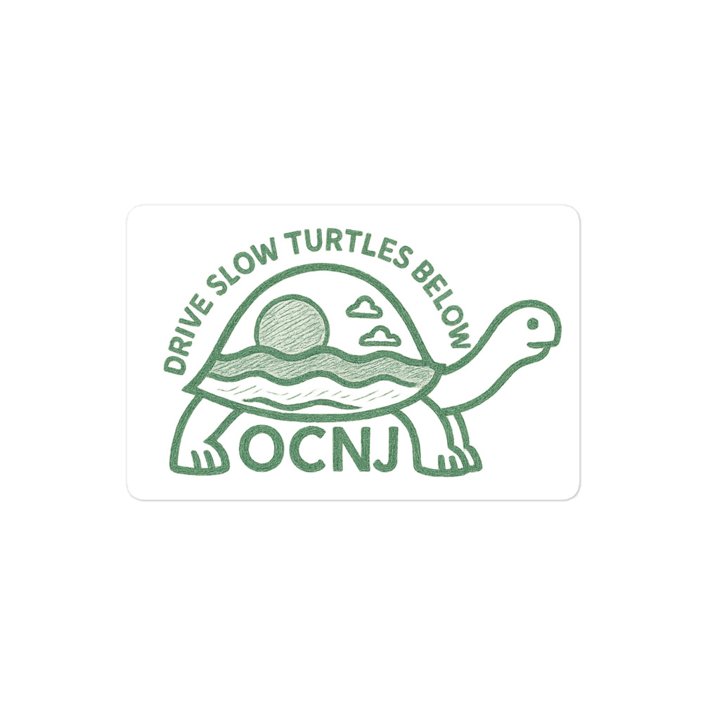 OCNJ Turtle Sketch